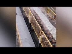 乾式ケイ酸ナトリウム炉 / 固形ケイ酸ナトリウム製造機