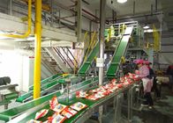 包装機能のフル オートの粉末洗剤の製造業機械